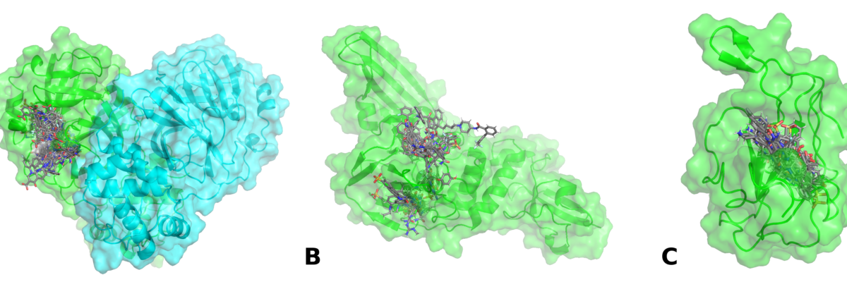 Exemplos de
possíveis complexos
receptor-inibidor
identificados
através de triagem
virtual contra três
alvos moleculares
do SARS-CoV-2. (A)
3C-Like Protease,
(B) Papain-Like
Protease, (C)
domínio N-terminal
da proteína do
nucleocapsídeo